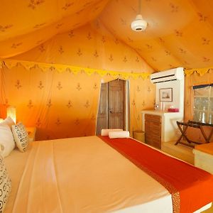 Luxury A or C Double Room Tent